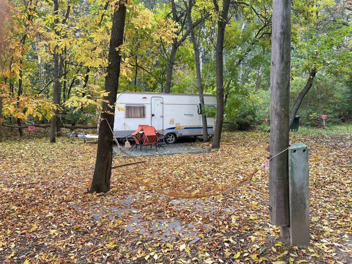 Tisza beach Wild Camping 2 Hotel Szeged Kültér fotó